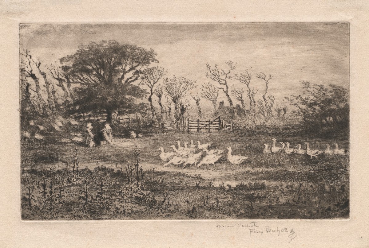 Geese 1887