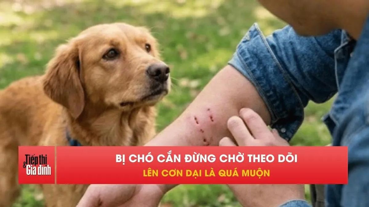Bị chó cắn phải làm gì? Đừng để quá muộn khi bệnh dại đã phát tác. - Tạp chí Tiếp thị &amp; Gia đình