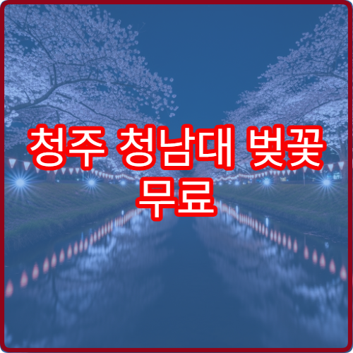 청주 청남대 벚꽃 무료 공연 시간대와 호수 좌석 배치