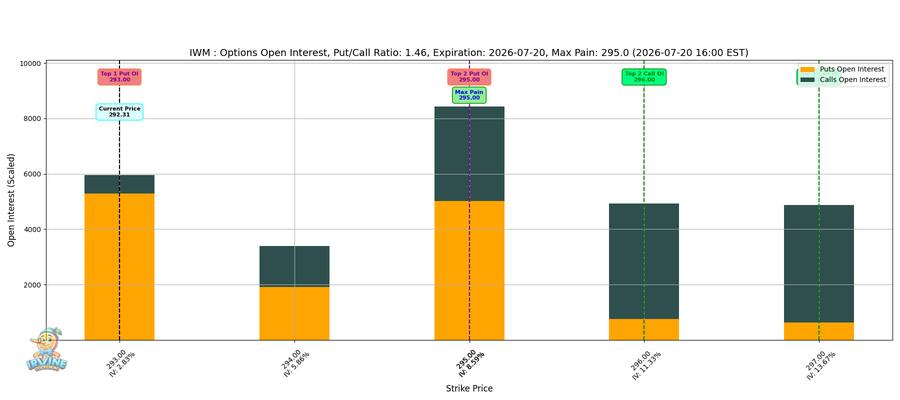 IWM Options
