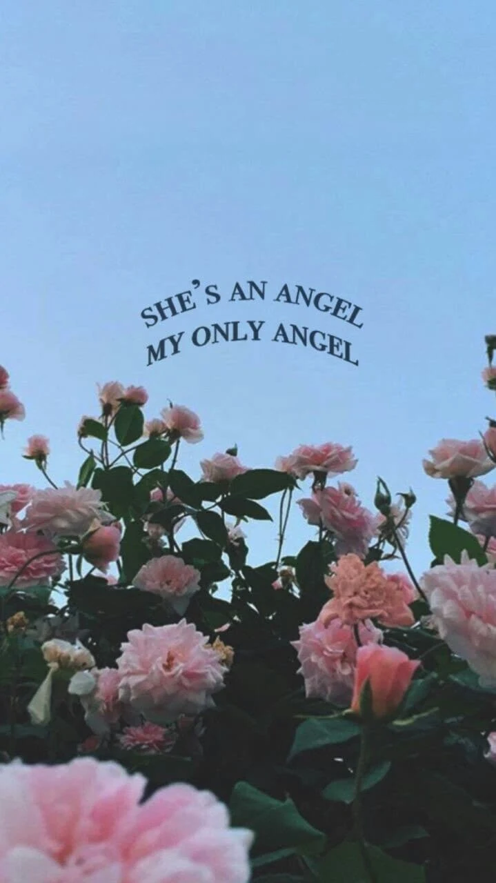 Angel, Flowers, Quote, Pink, Sky iPhone Wallpaper Background