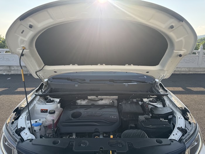 GEELY VISION X6