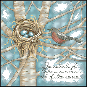 CMP DIM65076 Robin S Nest