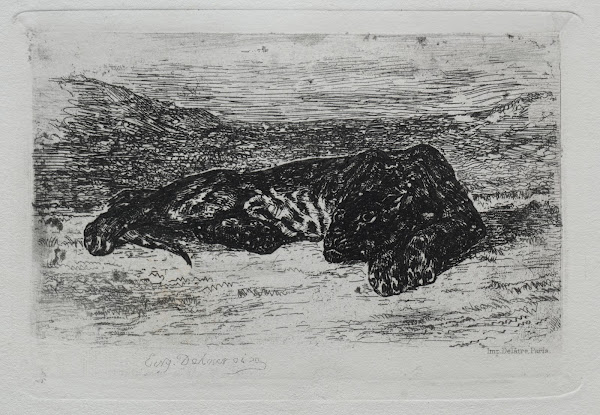 Crouching Tiger in the Desert 1846