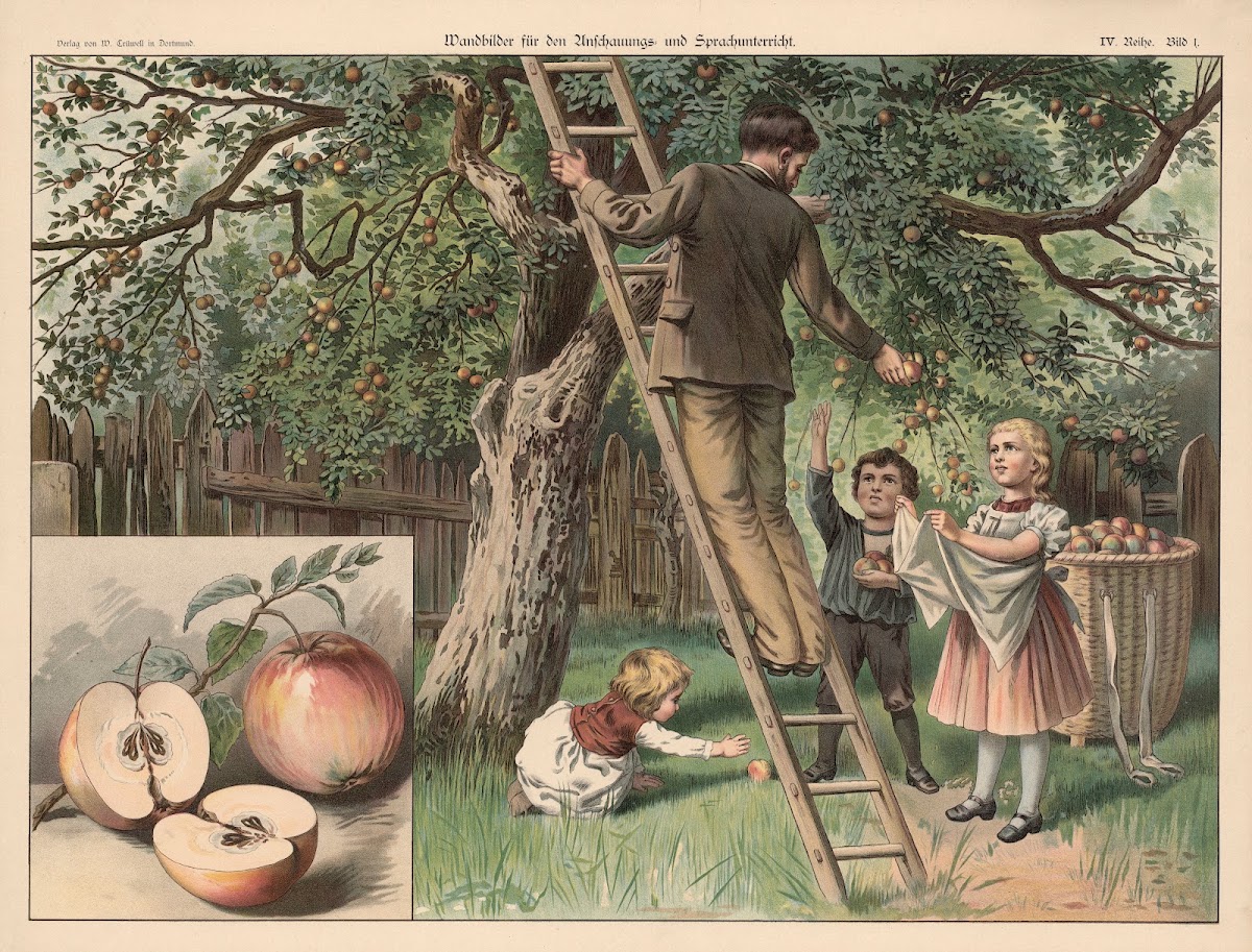 Apple 1888