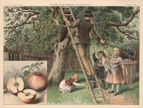 Apple 1888