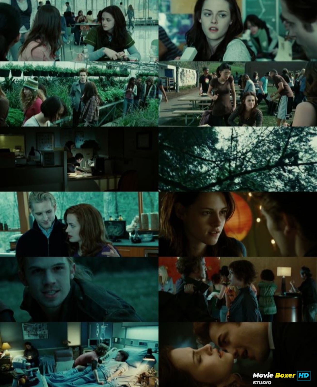 Screenshots Grid