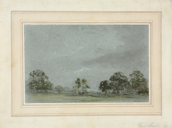 Landscape c 17511809