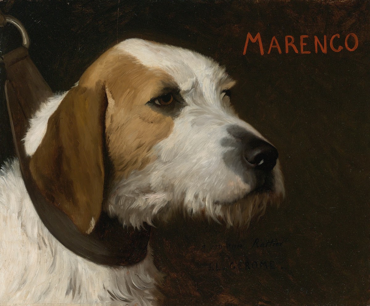 Marengo