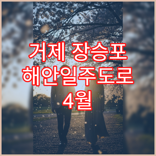 거제 장승포 해안일주도로 4월 벚꽃 평일 점심시간 최적 방문법