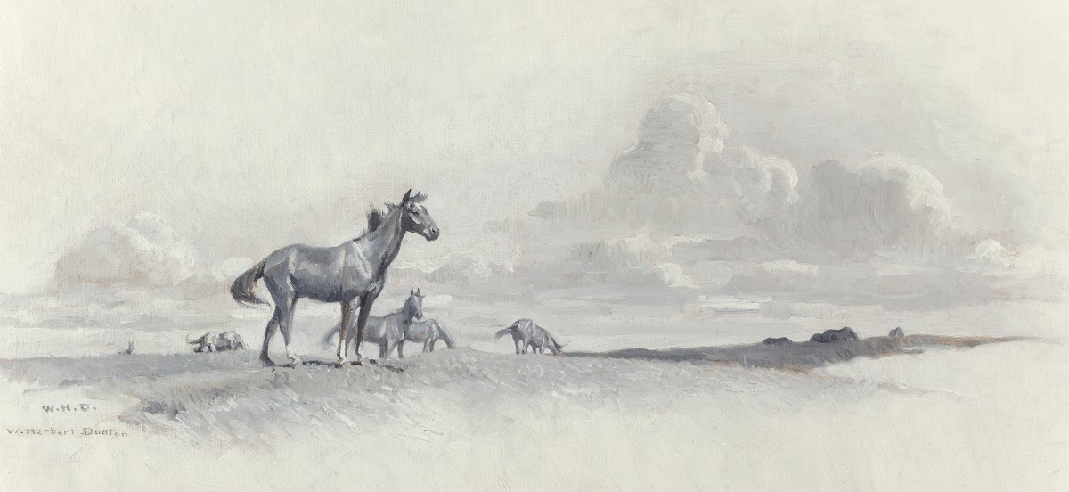 He Roamed The Open Range 1916
