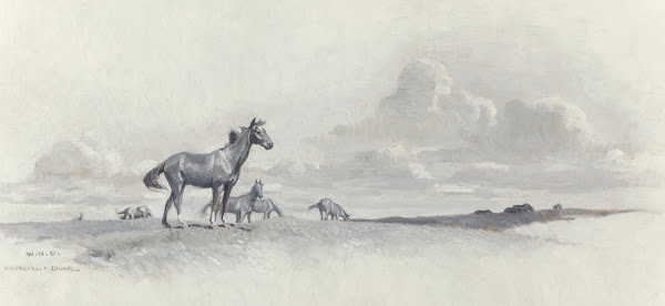 He Roamed The Open Range 1916