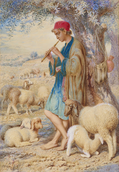 Keeping Sheep Bethlehem