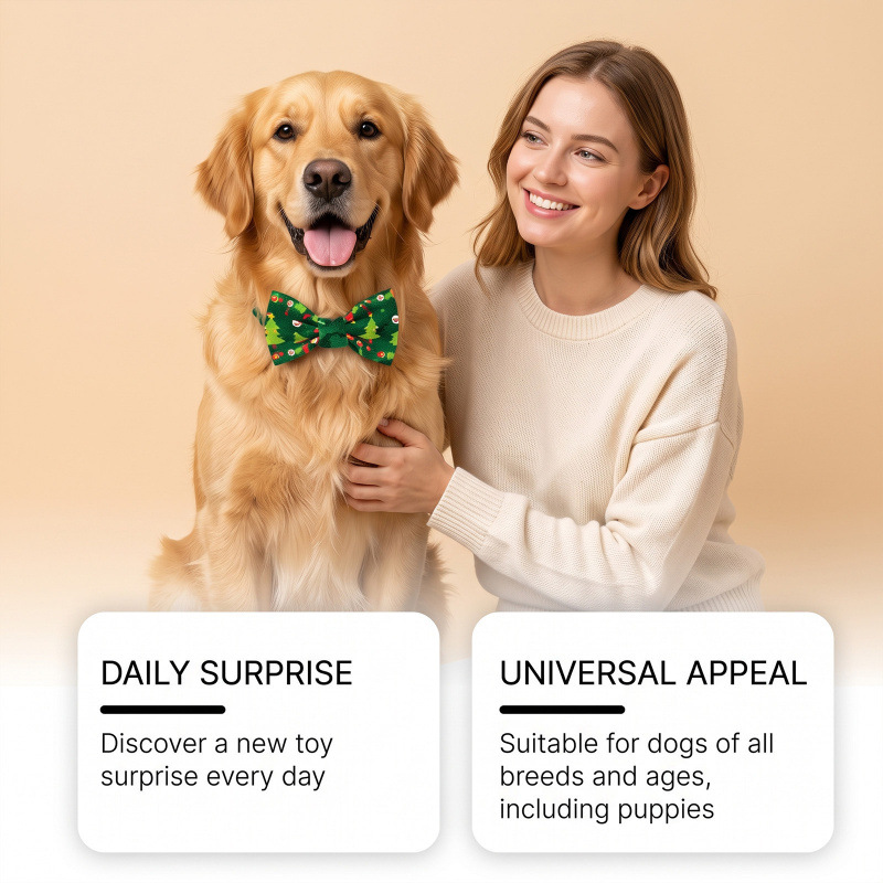 Adventskalender für Hunde