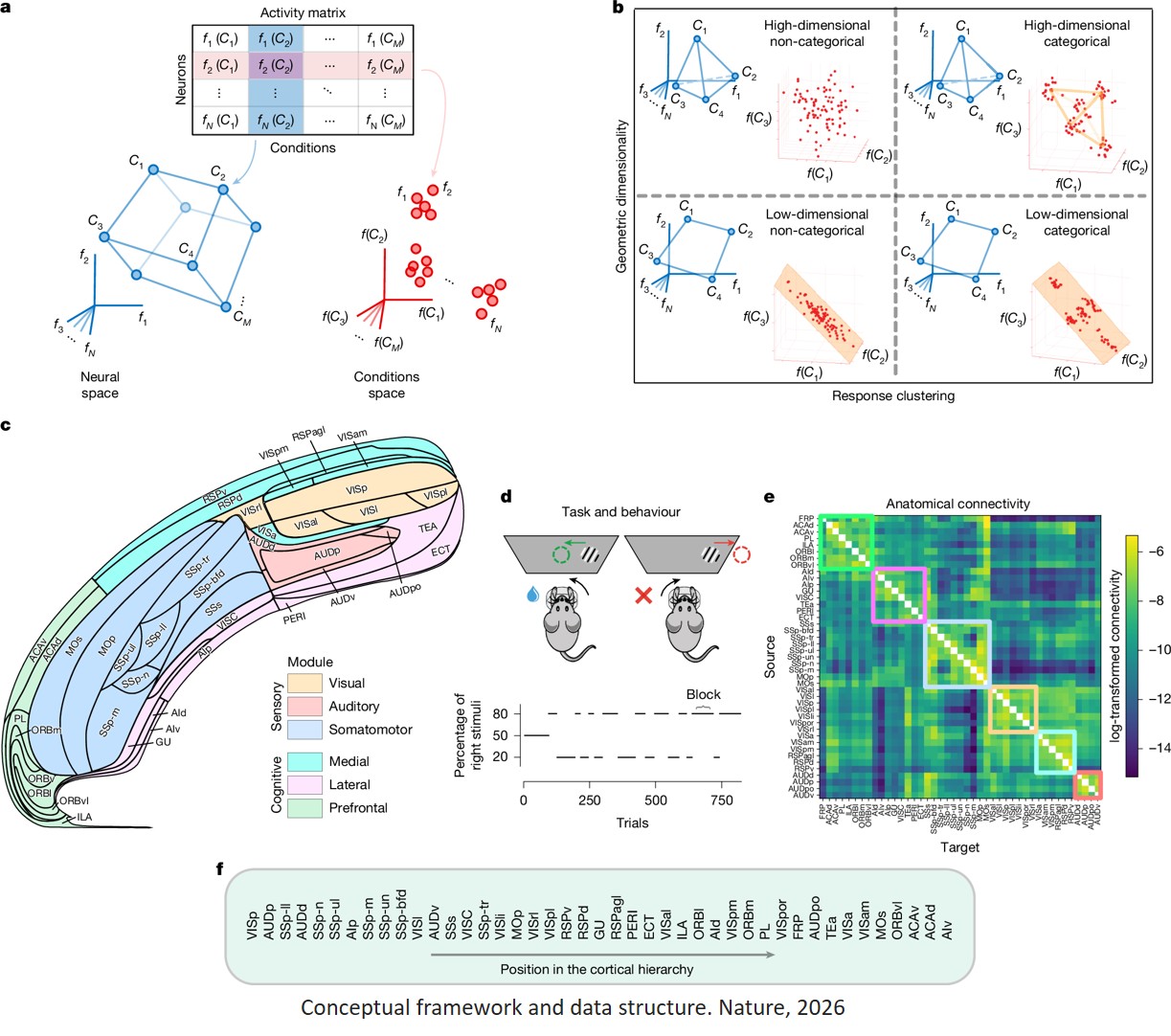 Rarely categorical, highly separable representations along the cortical hierarchy