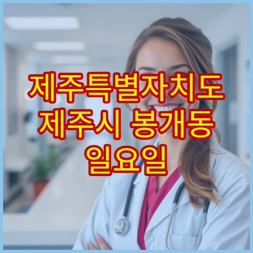 제주특별자치도 제주시 봉개동 일요일 약국 휴일 운영 안내 정리