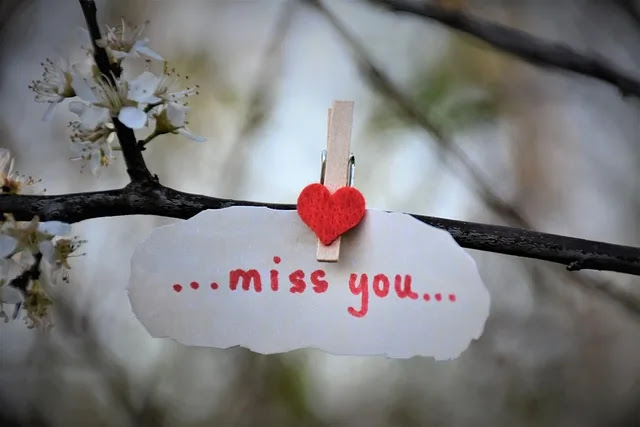 정부 지원금 신청했는데 누락되는 서류 유형