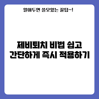 제비퇴치 방법, 제비퇴치 아이디어, 제비 퇴치 제품, 제비 예방, 제비퇴치 팁