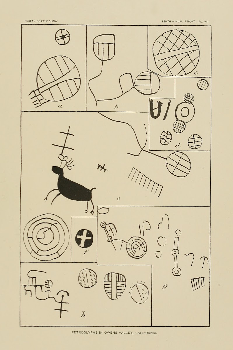 Petroglyphs in Owens Valley California 8 1894