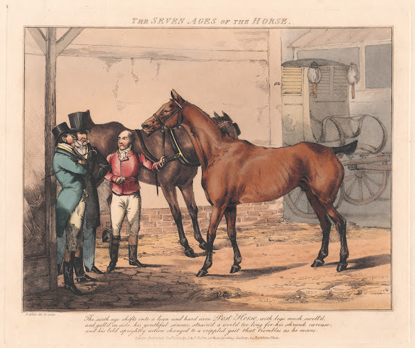 The Seven Ages of the Horse 1825