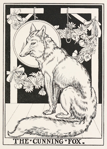 The Cunning Fox 1900
