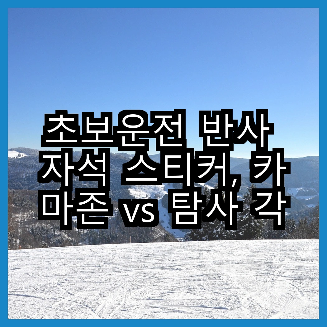 초보운전 반사 자석 스티커, 카마존 vs 탐사 각기 다른 매력! 어떤 선택이 필요할까요? 썸네일