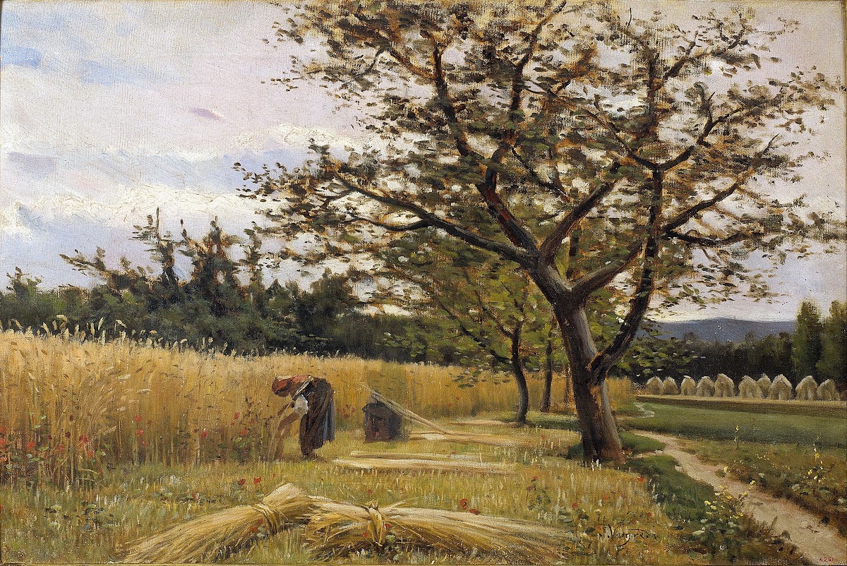 Reaping circa 1881