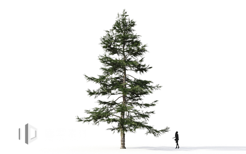 Maxtree - Plant Models Vol.9