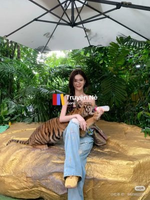 Câu Hỏi Định Mệnh