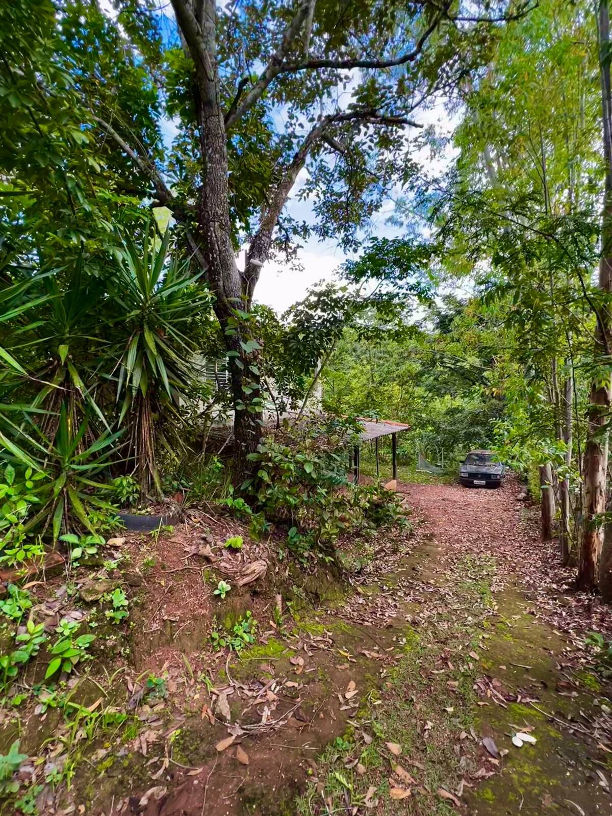 Chácara em Bonfinópolis - GO 5