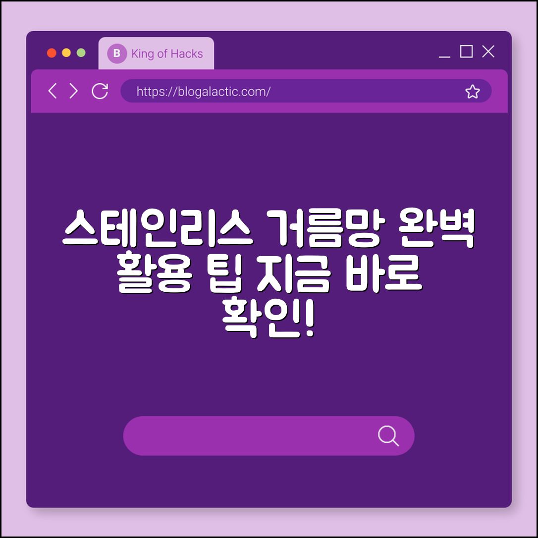 스테인리스 거름망 완벽 가이드: 활용 팁