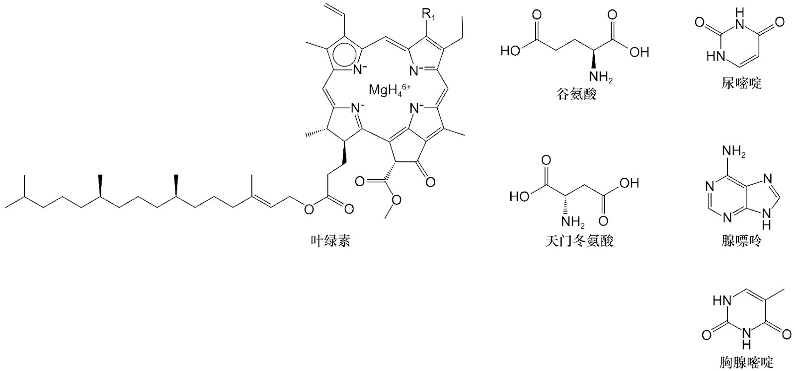 Characterization of Chemical Composition and Pharmacological Properties of Traditional Chinese Medicine Formulations