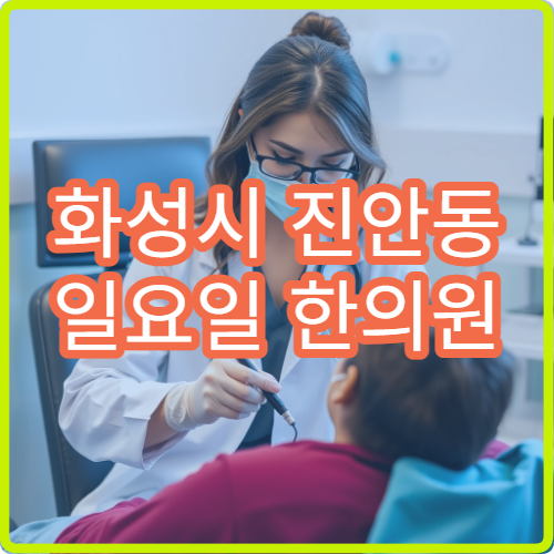 화성시 진안동 일요일 한의원 진료 안내 주말 한의원 진료 확인