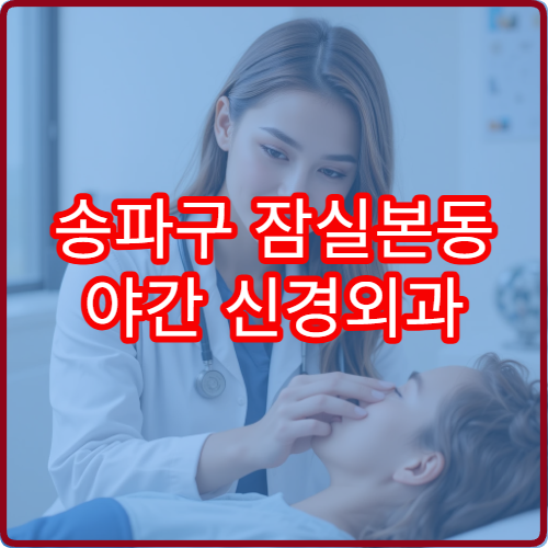 송파구 잠실본동 야간 신경외과 진료 가능한 병원 상세 진료 안내