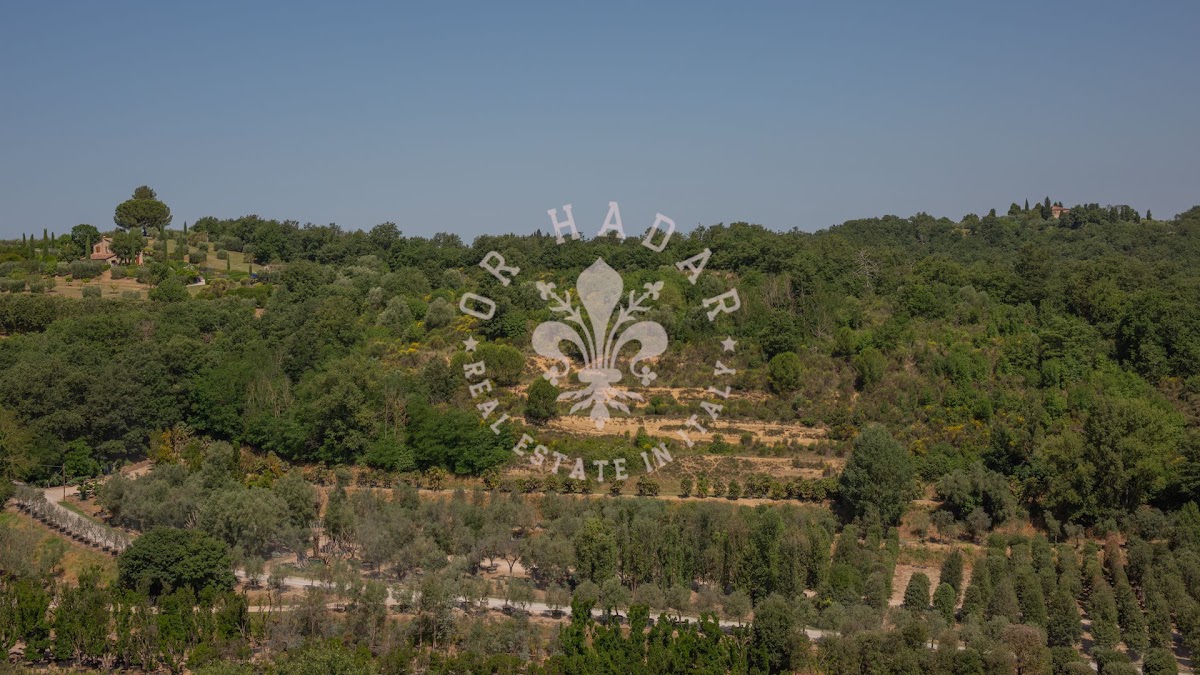 המראה על האגם — 38