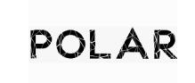Polar Recovery logo
