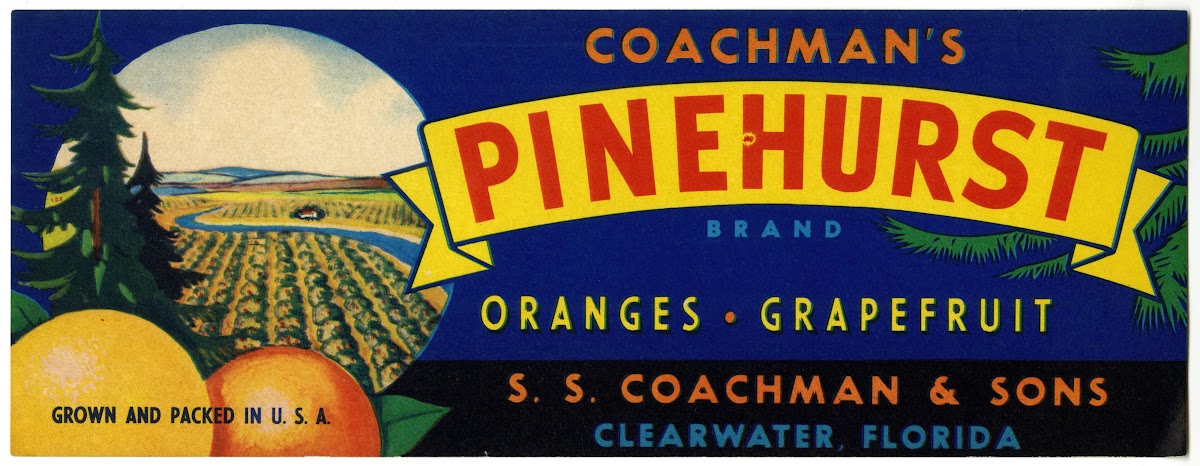 Coachmans Pinehurst Brand Citrus Label 1930 1950