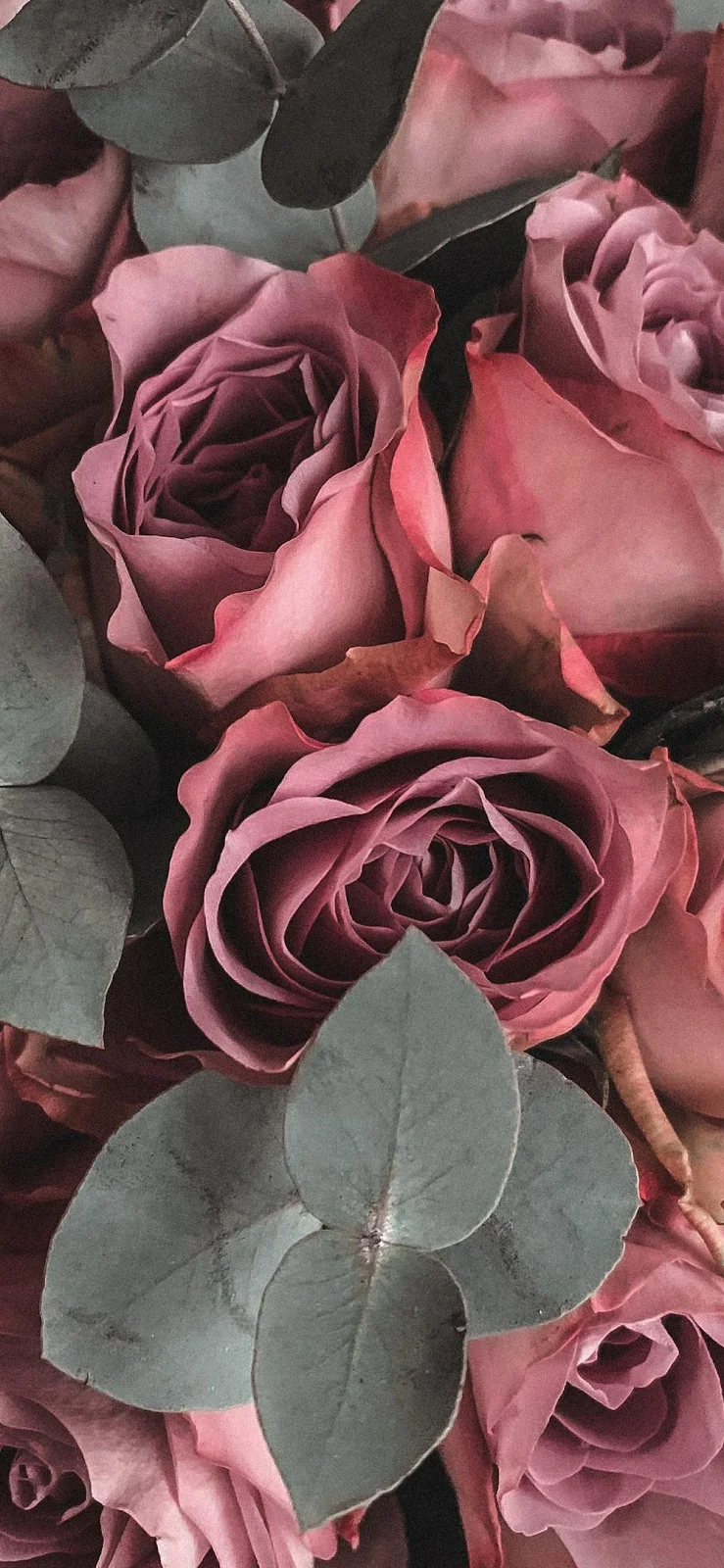 Vintage Mauve Roses Bouquet - Vintage Floral Photography iPhone Wallpaper (996x2157)