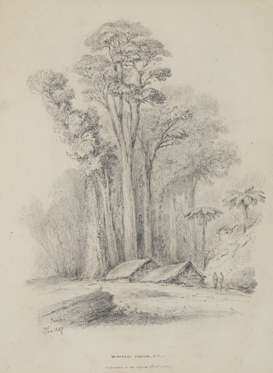 Wirinaki Station 1847