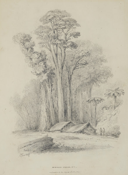 Wirinaki Station 1847