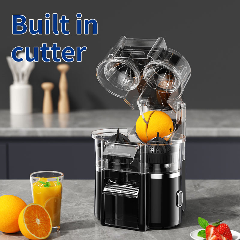 Double-Head Juicer with Pulp Separation