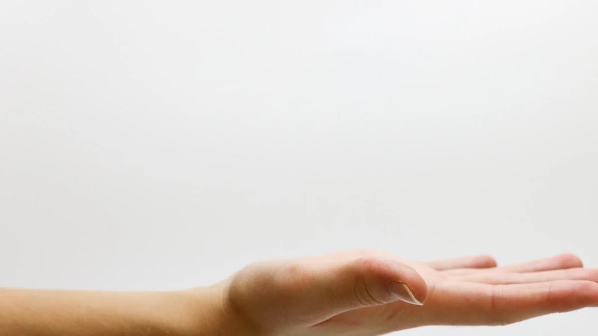 IPO 단계별 자금 조달 구조와 투자자 유치 전략