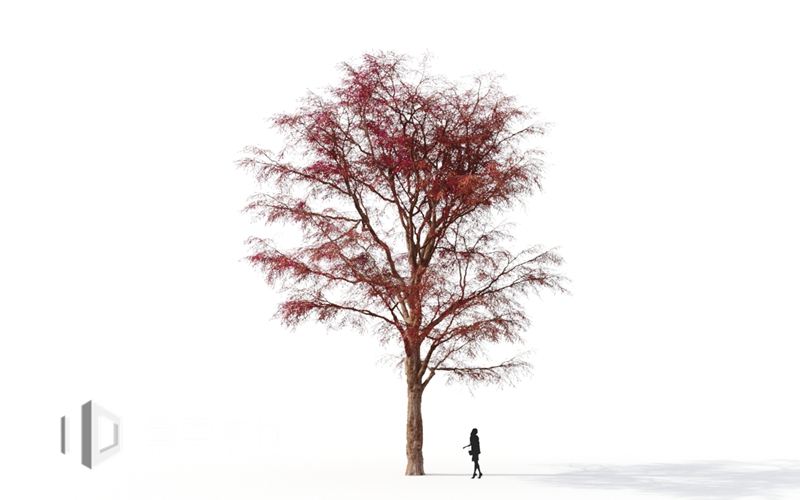 Maxtree - Plant Models Vol.9
