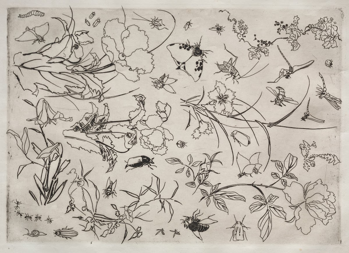 Dinner Service Rousseau service Flowers and Insects no 15 1866