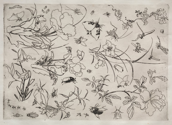 Dinner Service Rousseau service Flowers and Insects no 15 1866