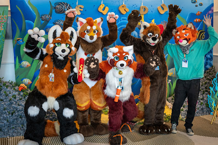 furdu-04176.jpg