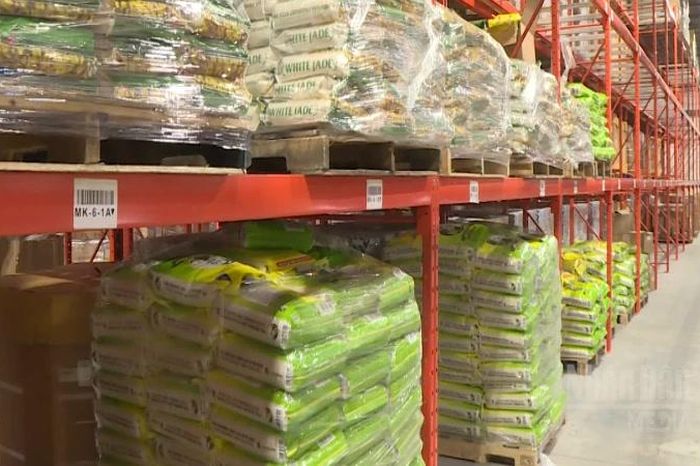 Giá lúa gạo trong nước và xuất khẩu đồng loạt tăng - Báo Nhân Dân