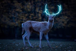 Glowing Deer Wallpaper