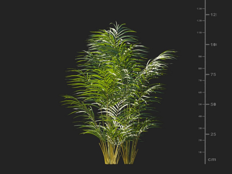 Maxtree - Plant Models Vol.127