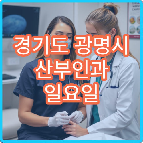 경기도 광명시 산부인과 일요일 진료 병원 일요일 여성 진료 가능한 병원 정보